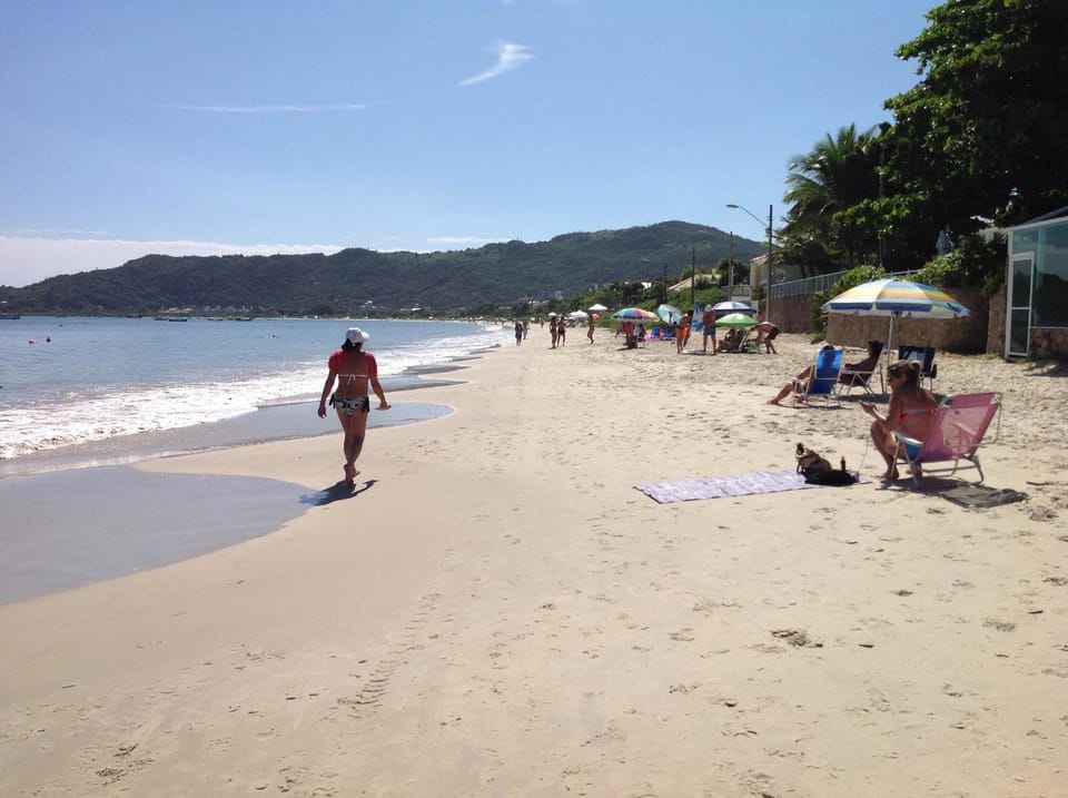 Spring, Day, Beach