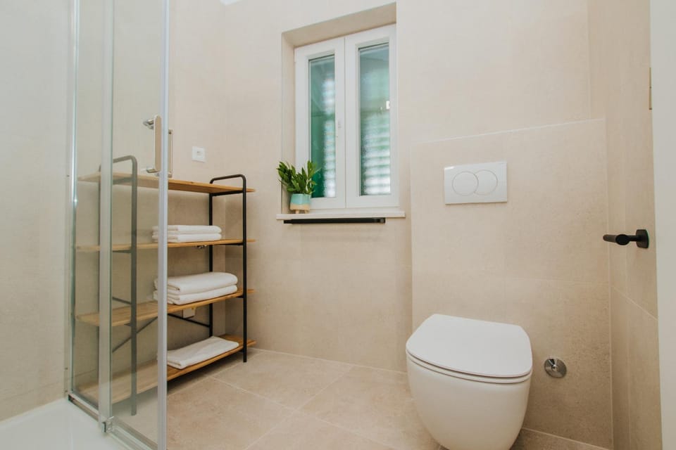 Shower, Toilet, towels