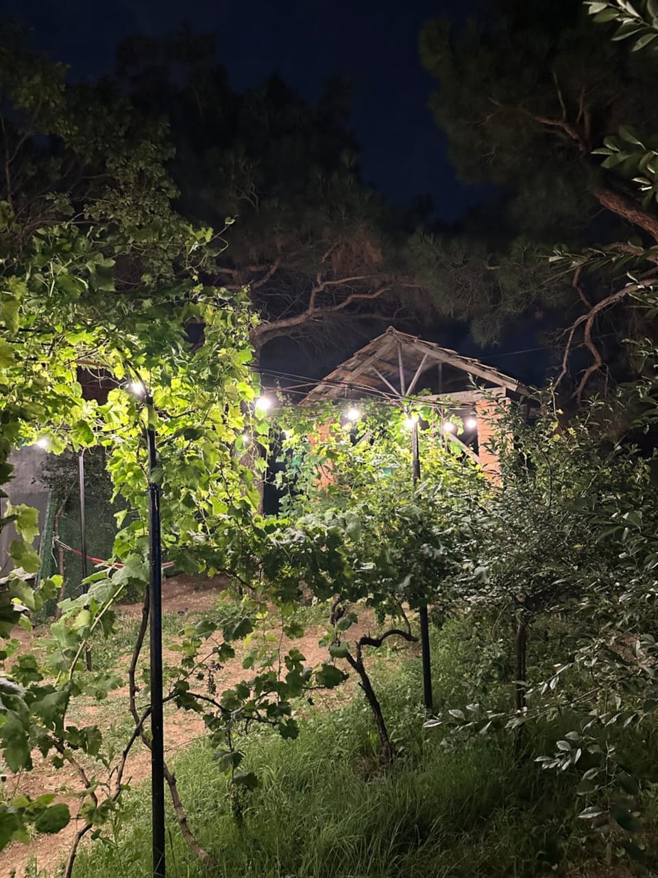 Luna A-frame Cottage House in Tbilisi, Georgia