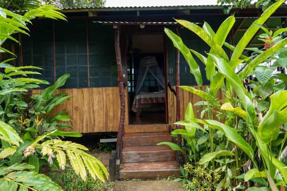 Pacífic Corcovado Bumgalows Nature lodge in Puntarenas Province