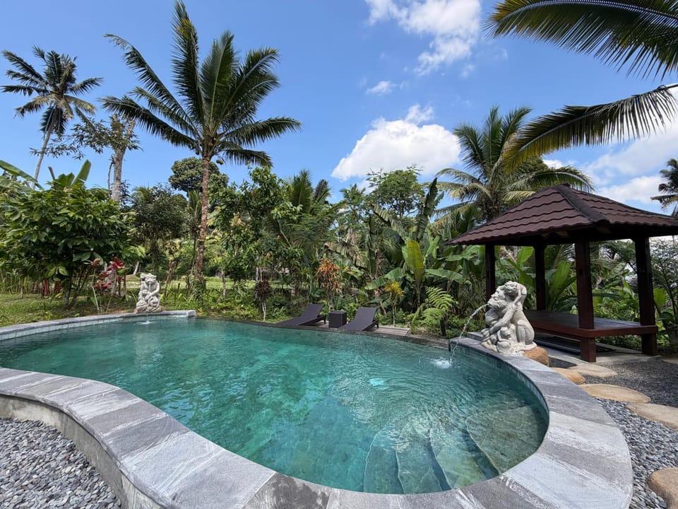 Day, Natural landscape, Garden, Garden view, Pool view, Swimming pool