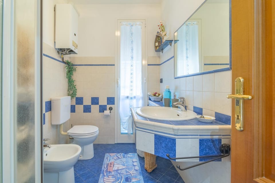 Shower, Toilet, Bathroom, bidet