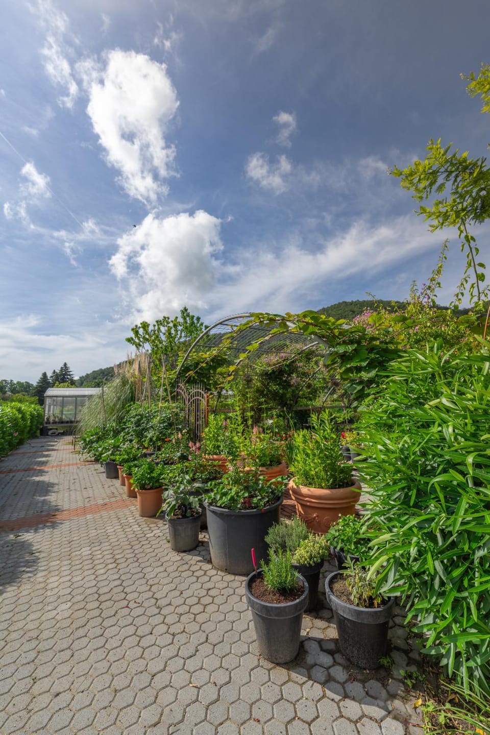 Garden, View (from property/room)
