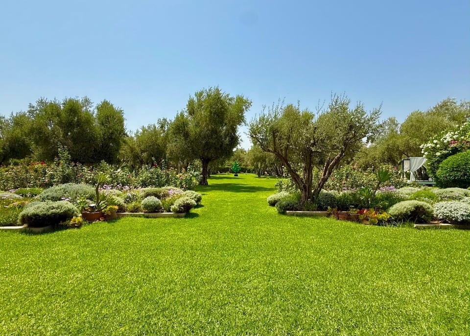 Garden view