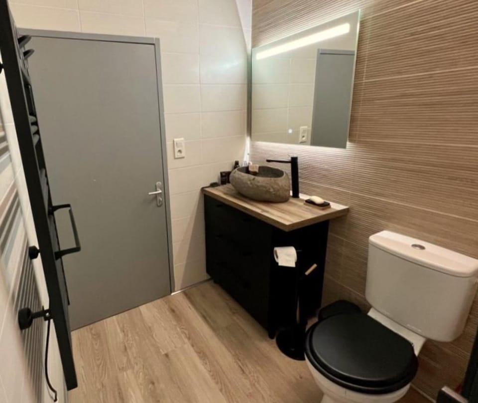 Shower, Toilet, hair dryier