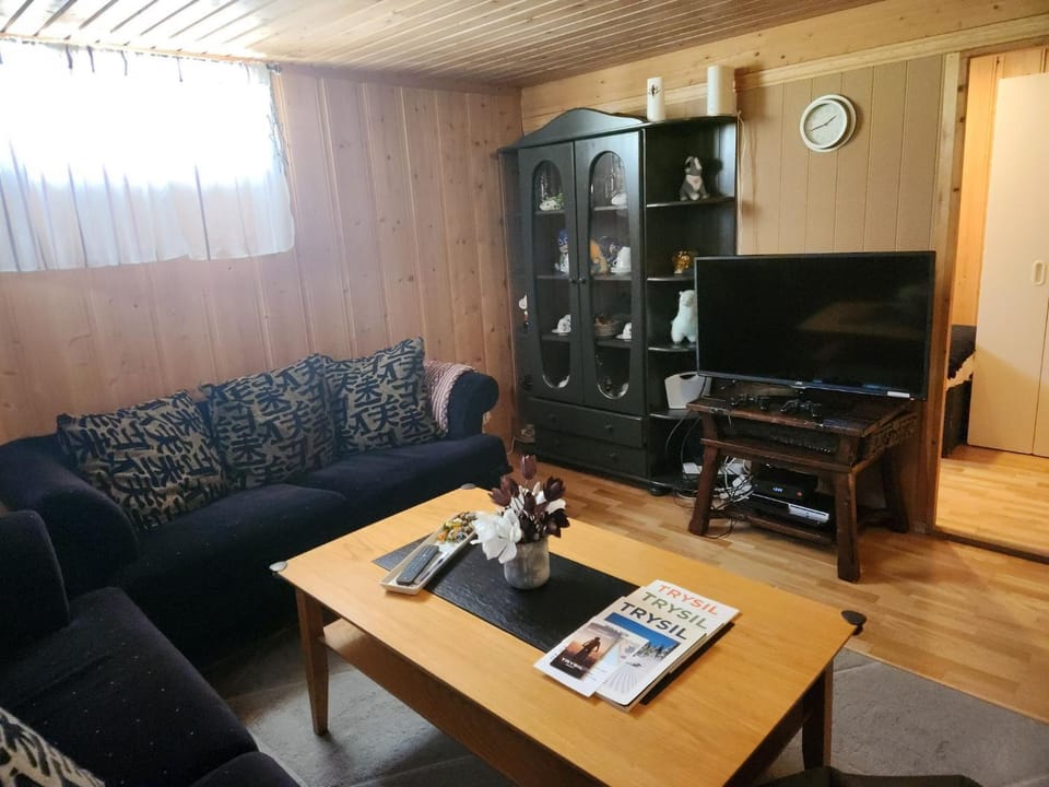 Communal lounge/ TV room, TV and multimedia, Living room, Decorative detail