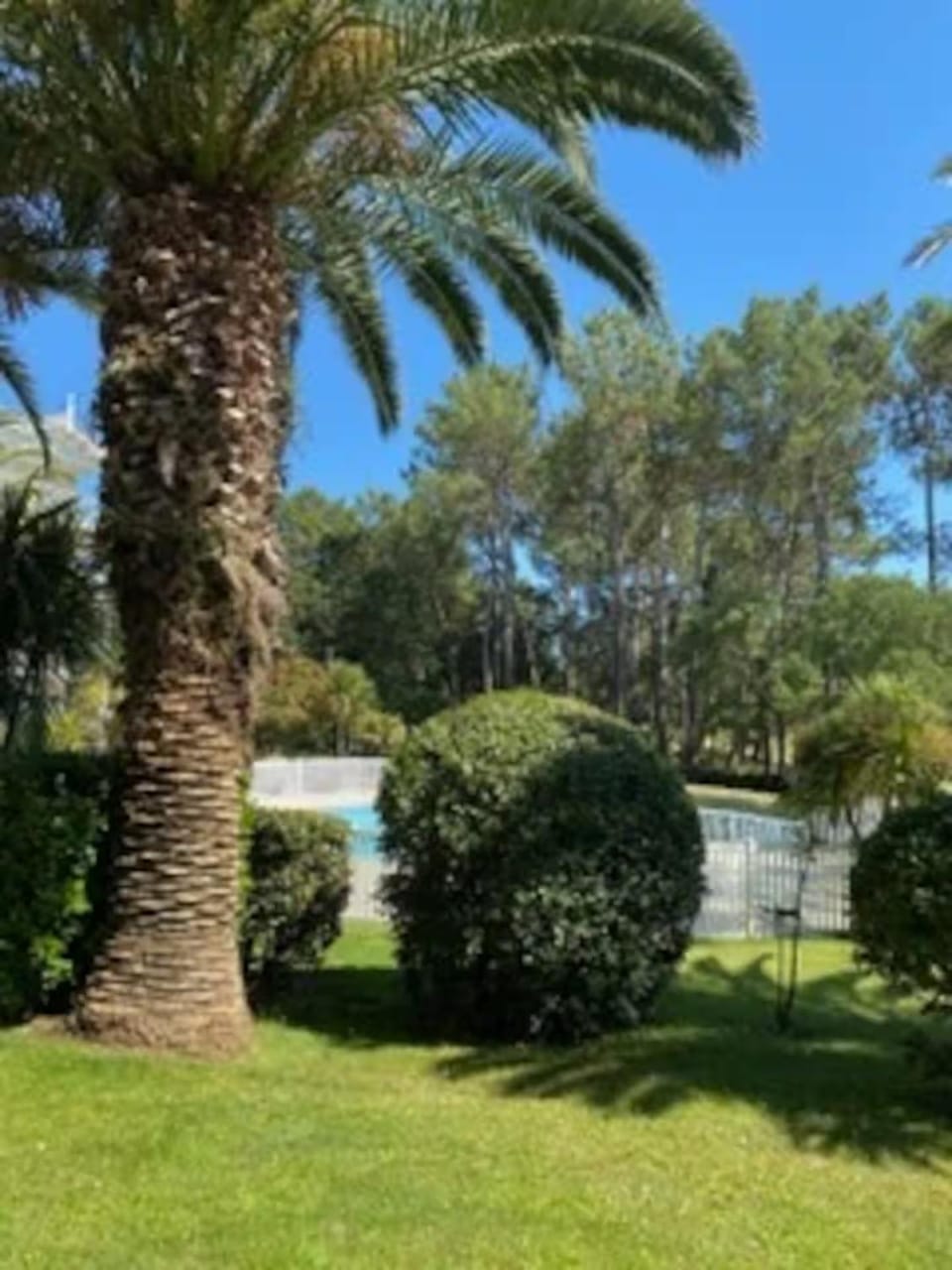 Bel appartement, vue sur golf et piscine,à 2 pas de la plage Apartment in Moliets-et-Maa