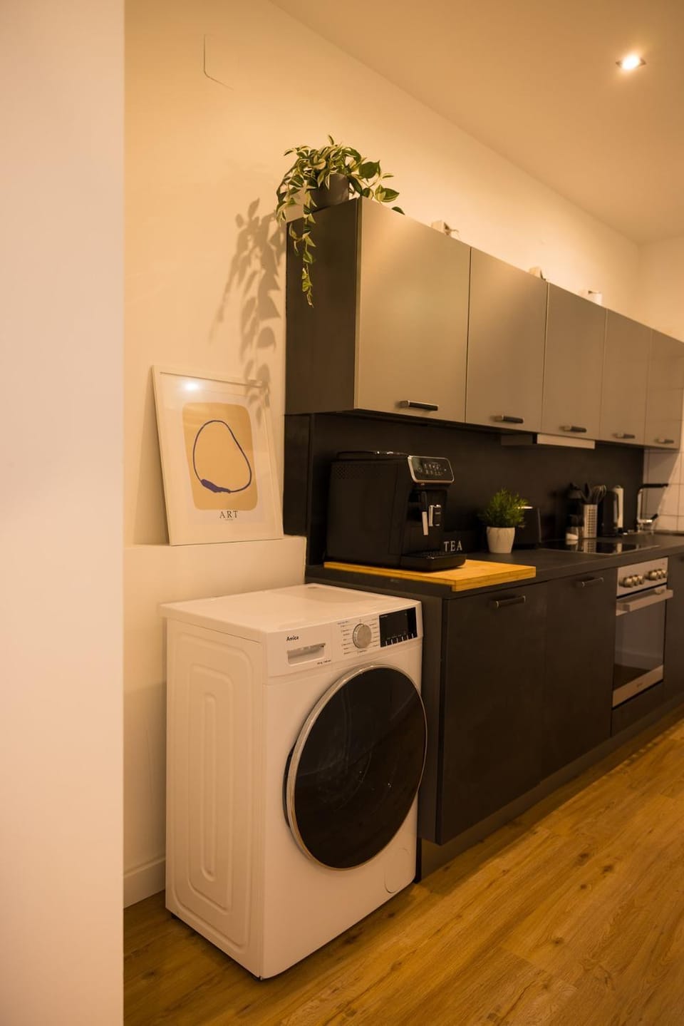 Kitchen or kitchenette, dishwasher, oven, stove, toaster, washing machine, dryer
