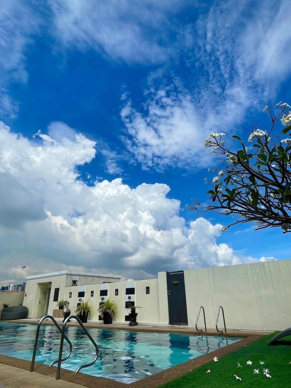 Day, Pool view, Swimming pool, sunbed