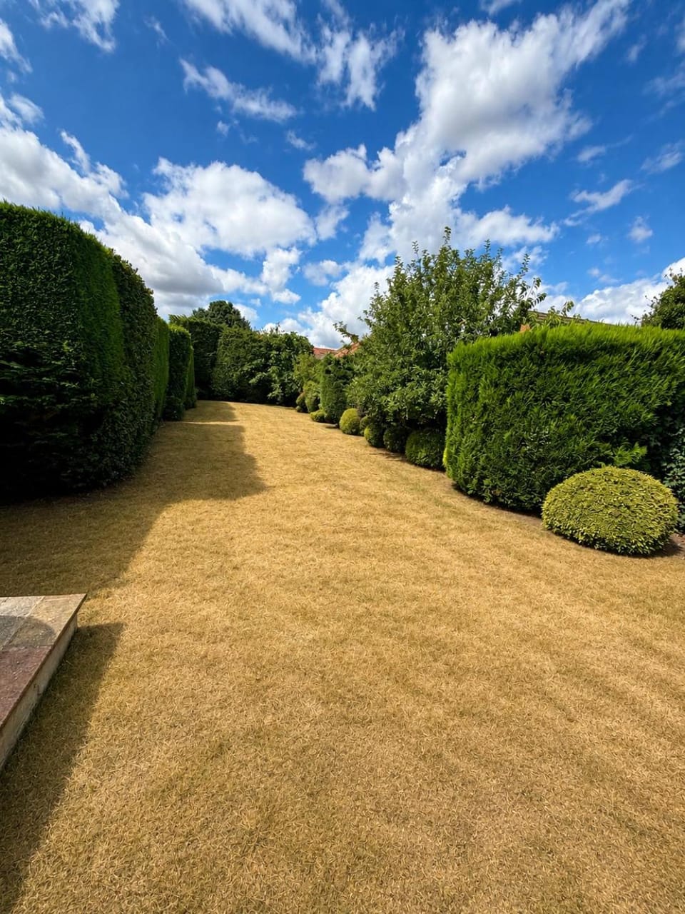 Garden view