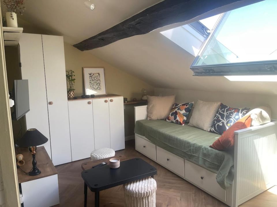 Charmant Studio en plein coeur d'Angers Apartment in Angers