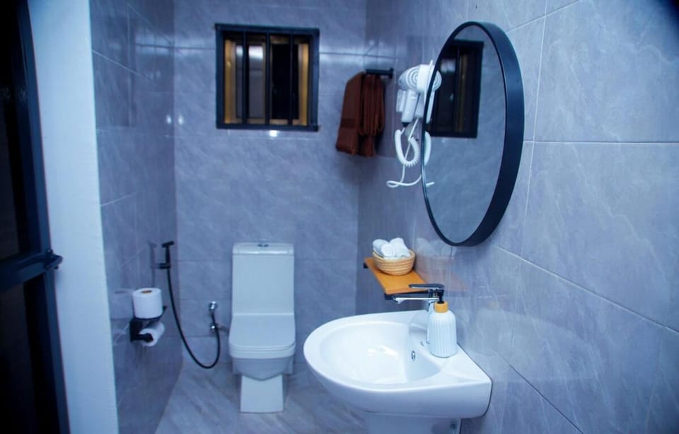 Toilet, Bathroom, towels, dryer