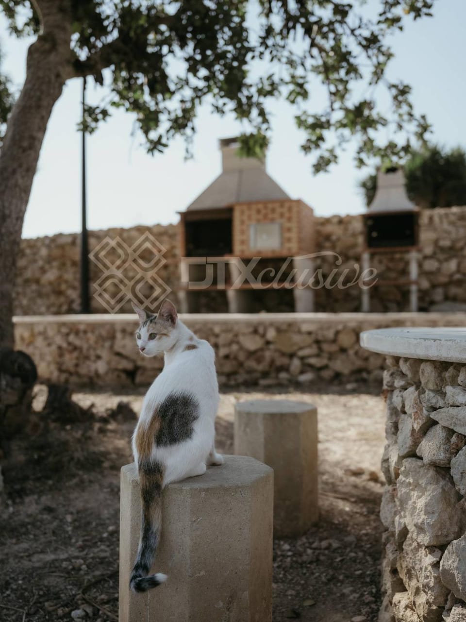 Garden, stove