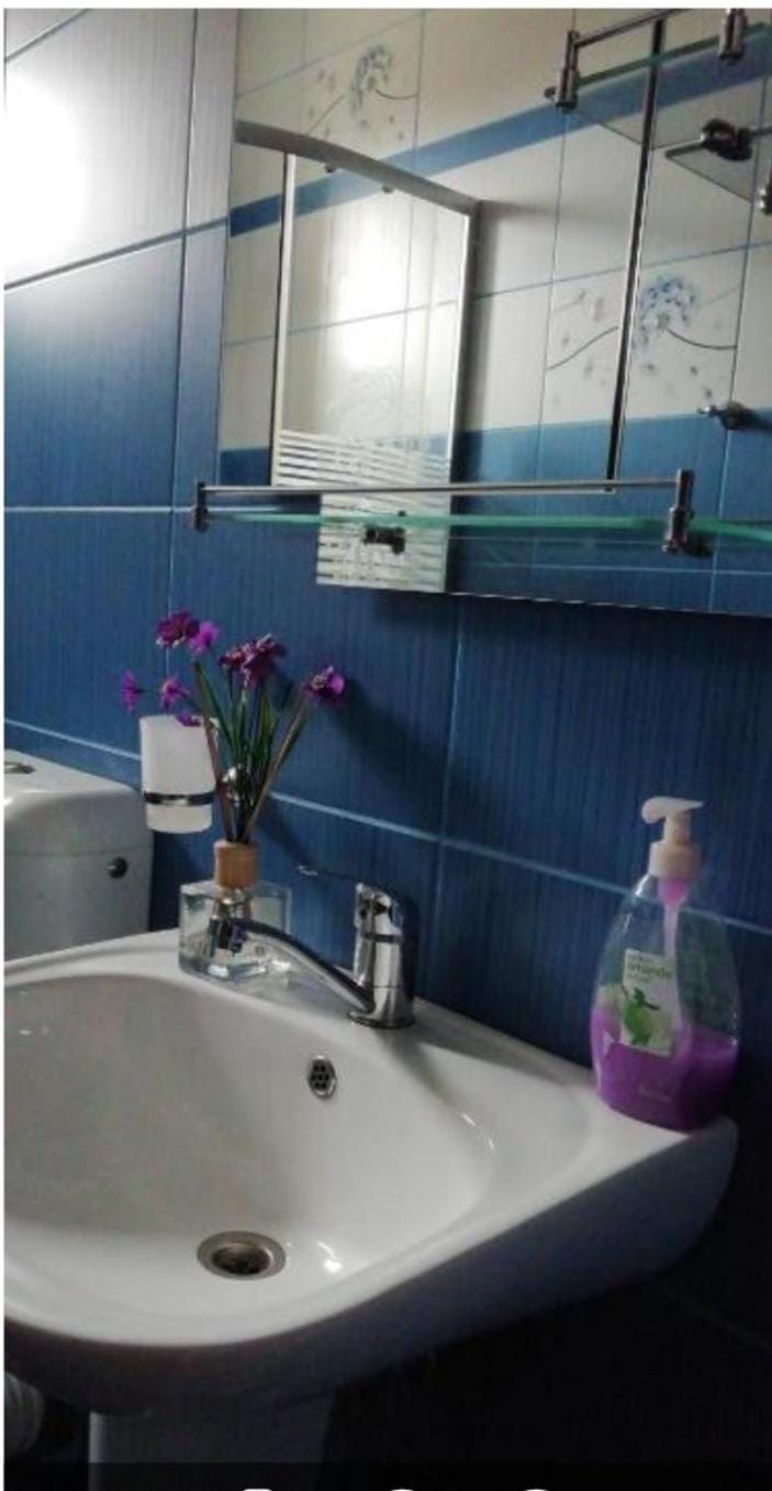 New Cazare Sibiu Alixy Bed and Breakfast in Sibiu