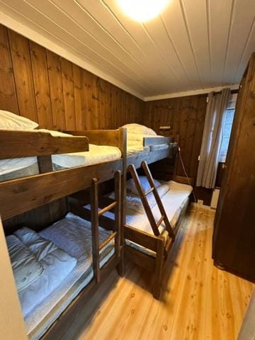 Vikinggrenda 9 - walking distance to everything - ski in and out House in Innlandet