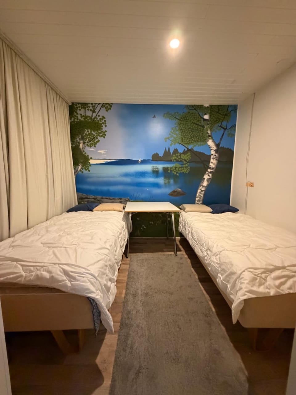Photo of the whole room