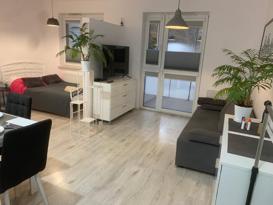 TV and multimedia, Kitchen or kitchenette, Living room, Seating area