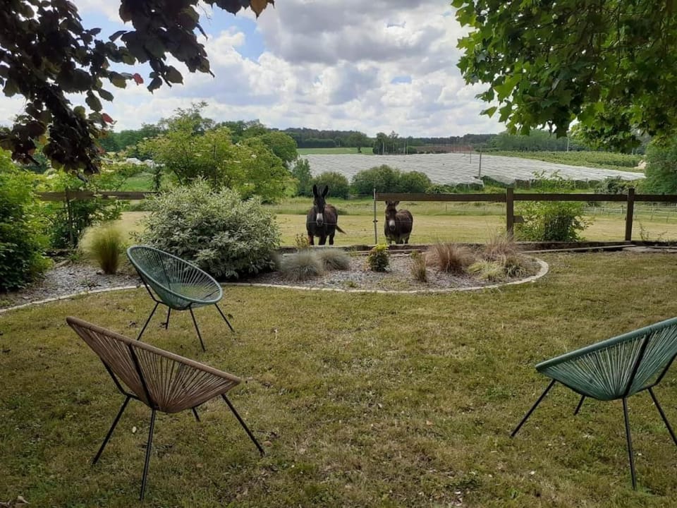 Gîte des ânes (Maison familiale-13couchages) Farm Stay in Pays de la Loire