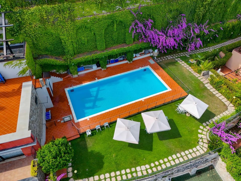 Garden, Pool view, Swimming pool, Open Air Bath, Public Bath