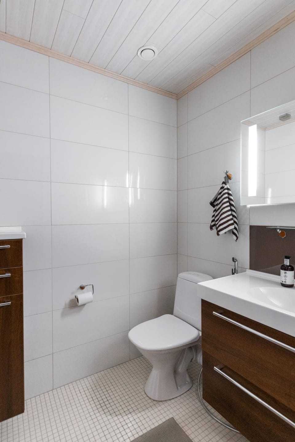 Toilet, Bathroom