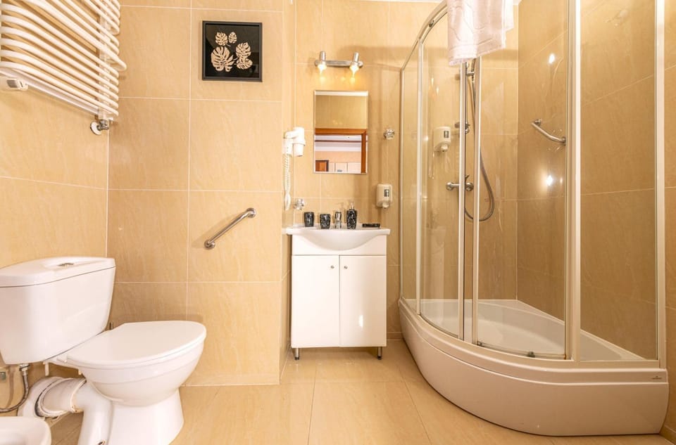 Shower, Toilet, Bathroom, bidet