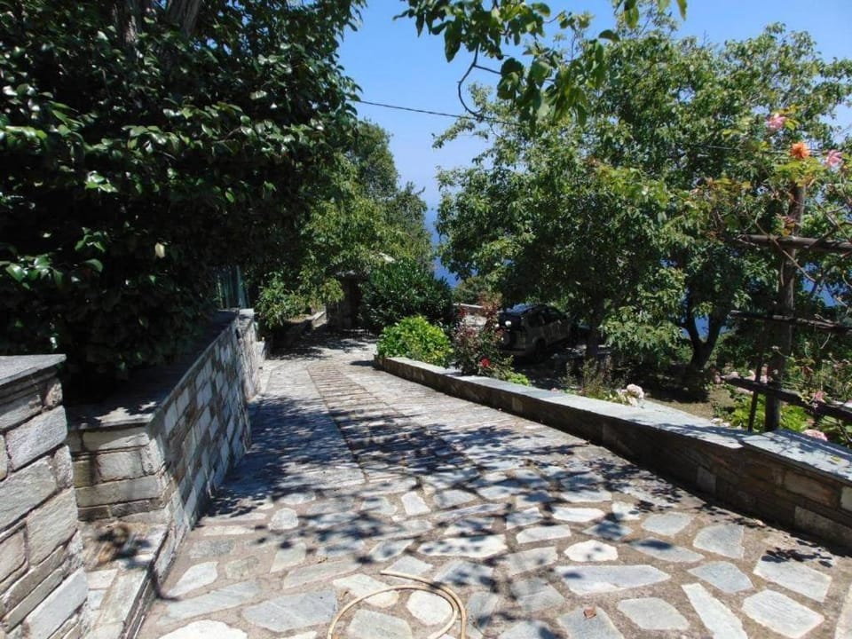 Villa Katerina Villa in Magnesia Prefecture, Greece