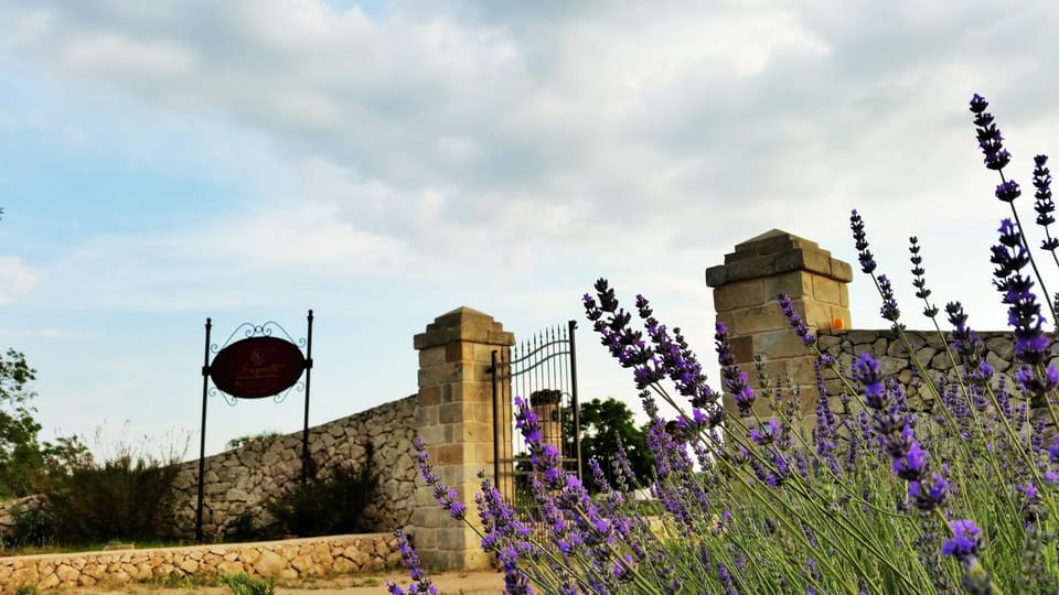 Facade/entrance, Garden