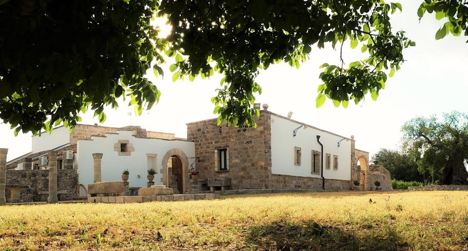 Patio, Facade/entrance, Natural landscape, Garden