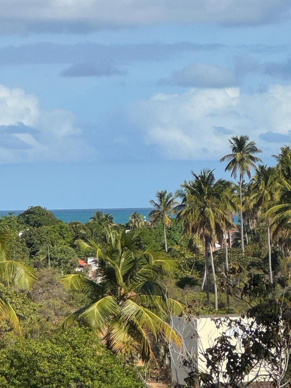 Sea view