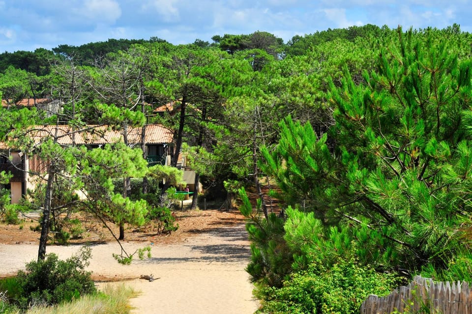 Natural landscape