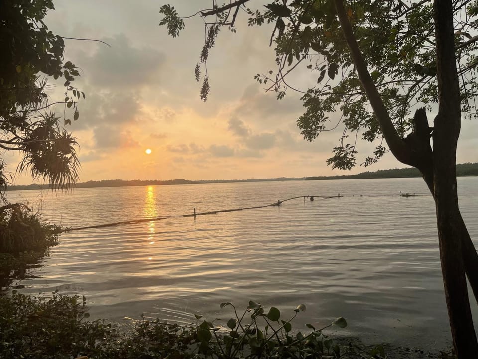 Lake view
