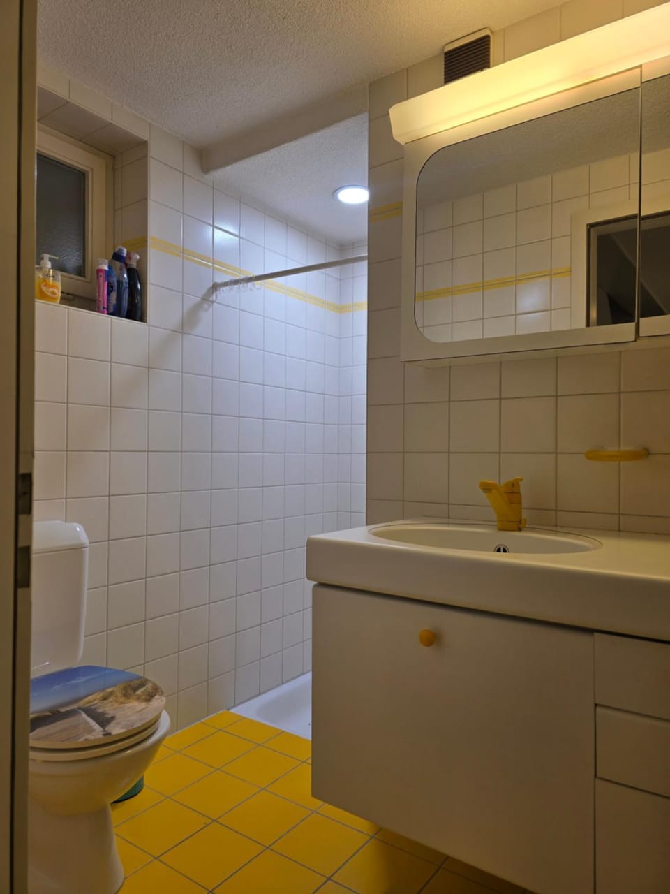 Shower, Toilet, Bathroom