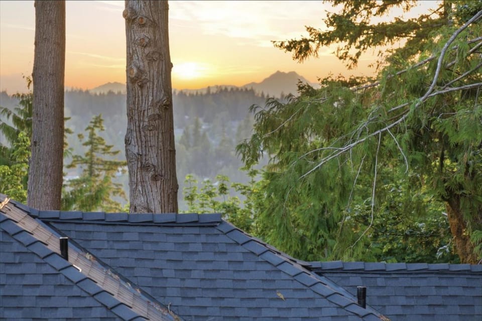Peek-a-boo LakeMountain 4BR OfficeGym Turf House in Lake Sammamish