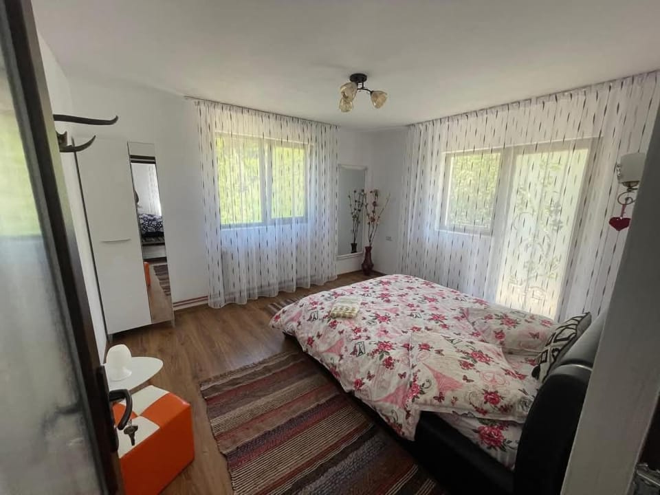Casa Corina House in Romania