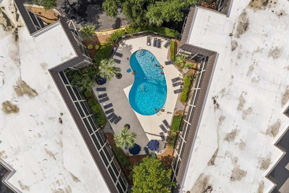 Day, Bird's eye view, Swimming pool