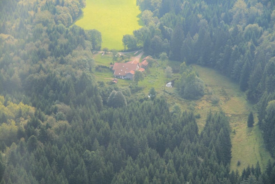 Natural landscape
