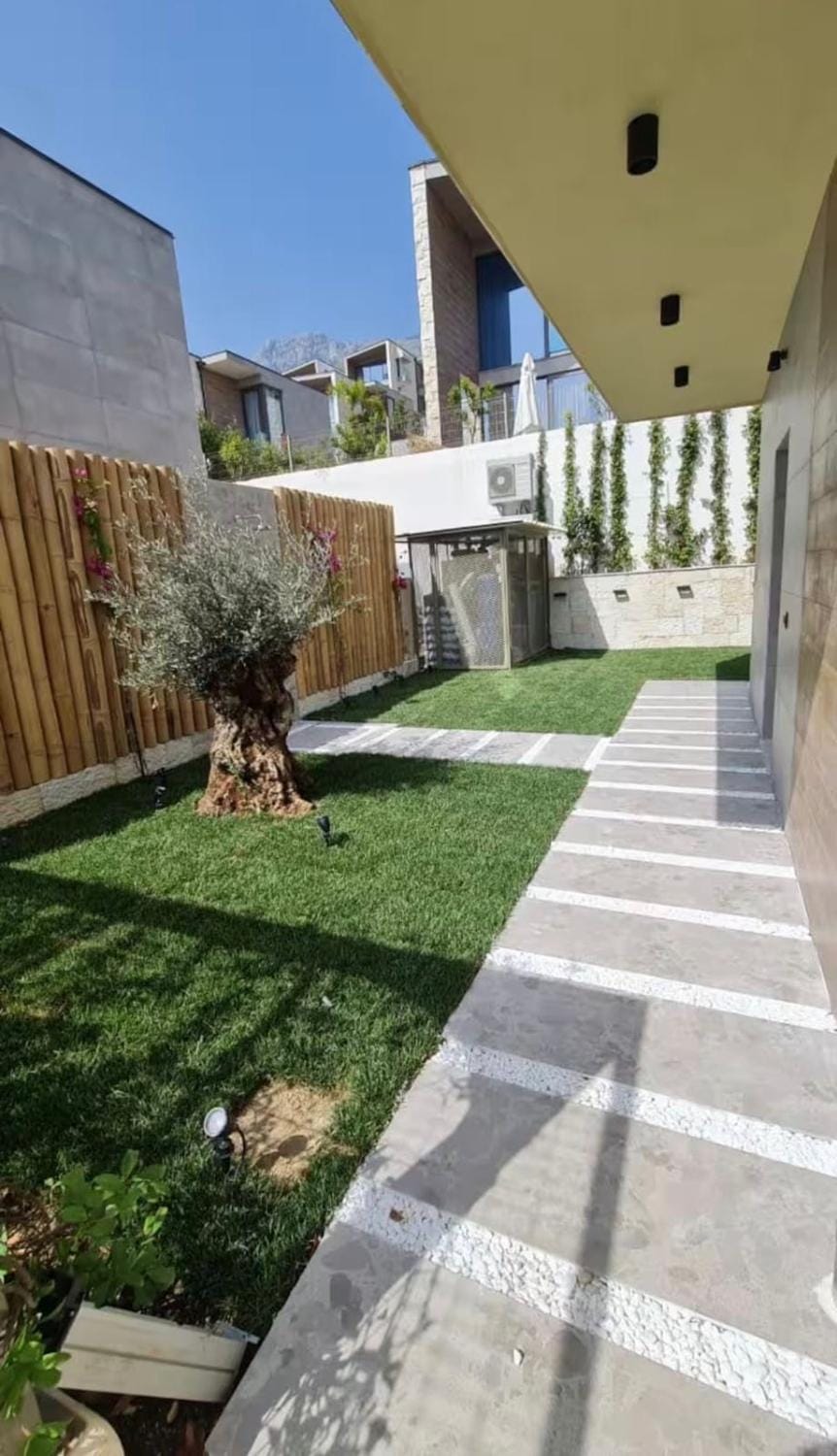 Garden, Garden view, Garden view
