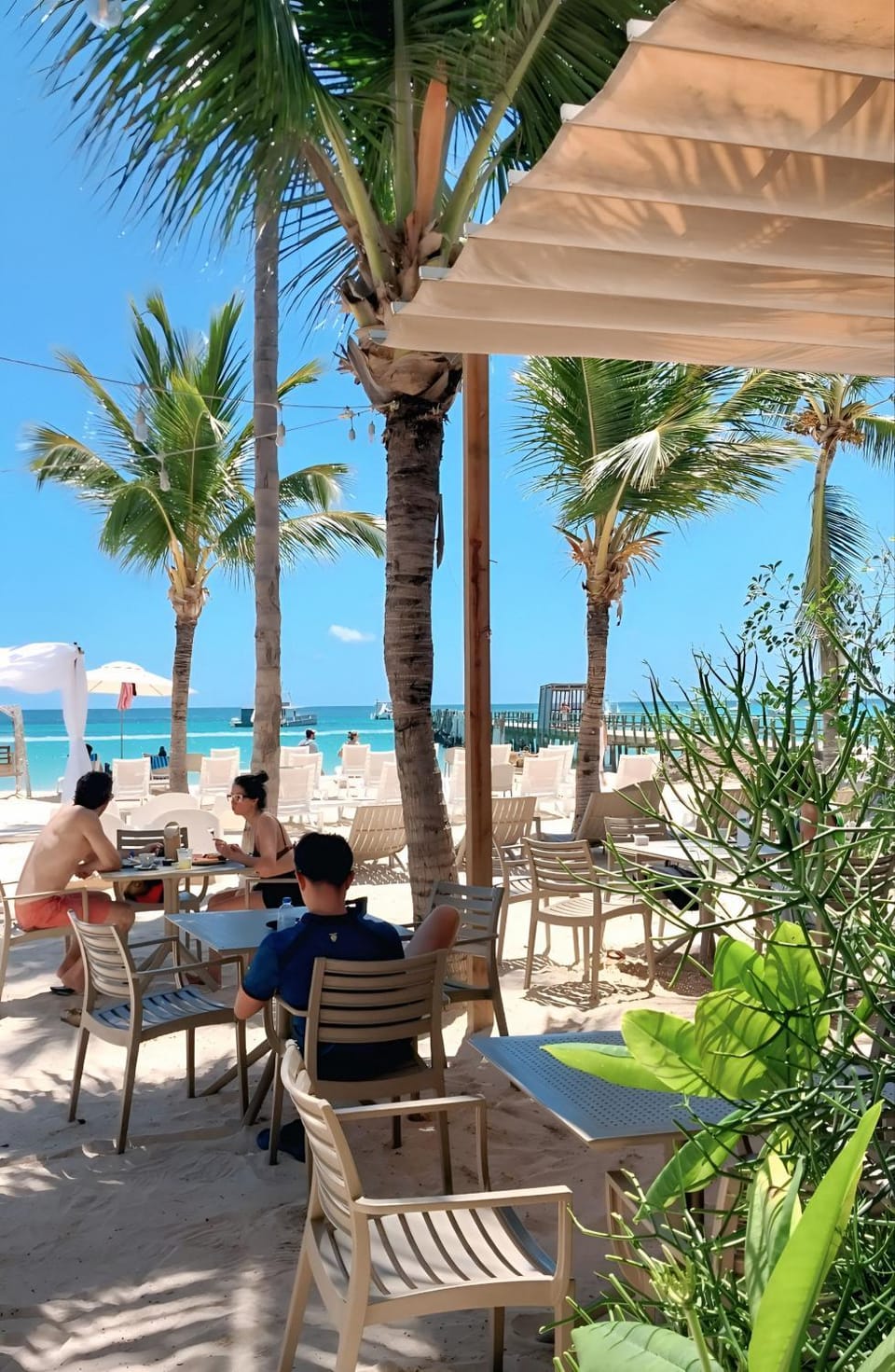 Patio, Restaurant/places to eat, Day, Seating area, Beach, sunbed