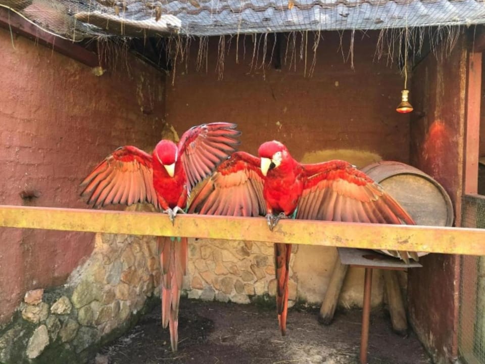 Neighbourhood