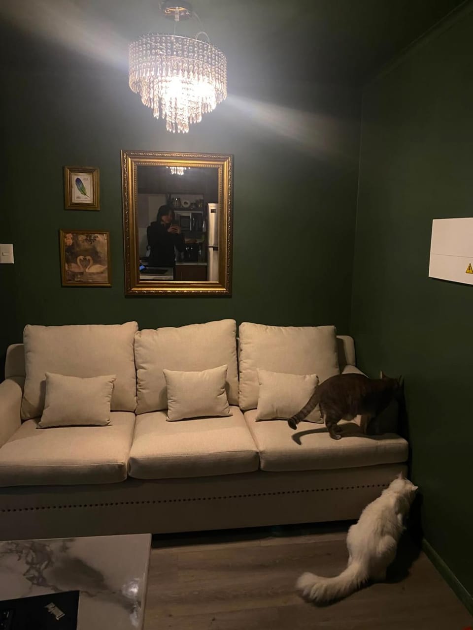 anna Vacation rental in Temuco