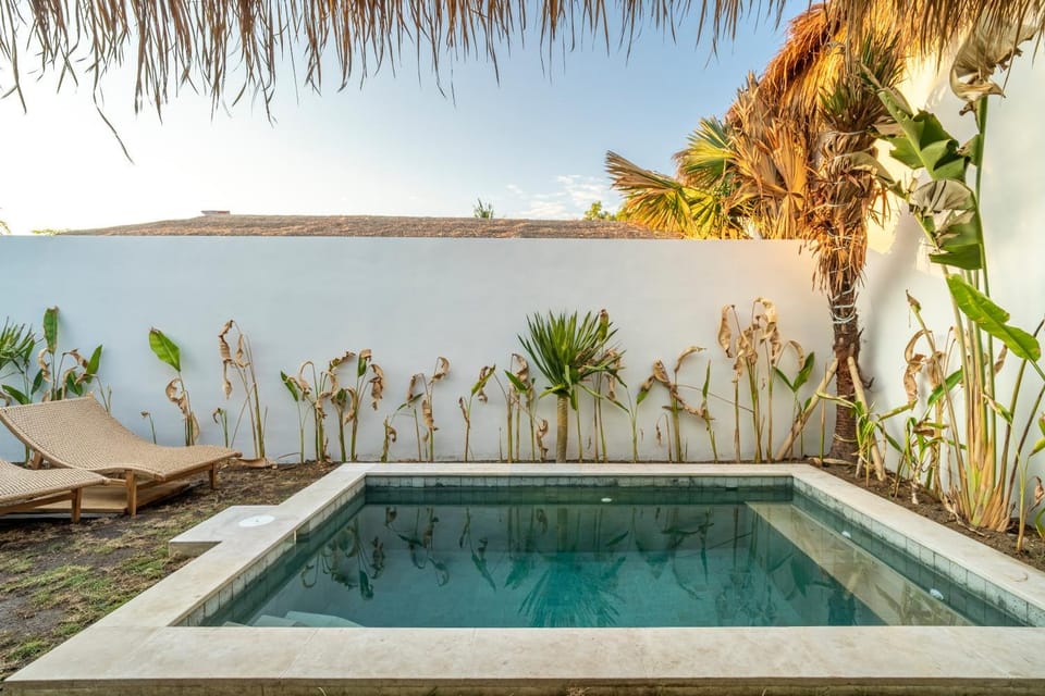 Day, Garden, Garden view, Pool view, Swimming pool, sunbed
