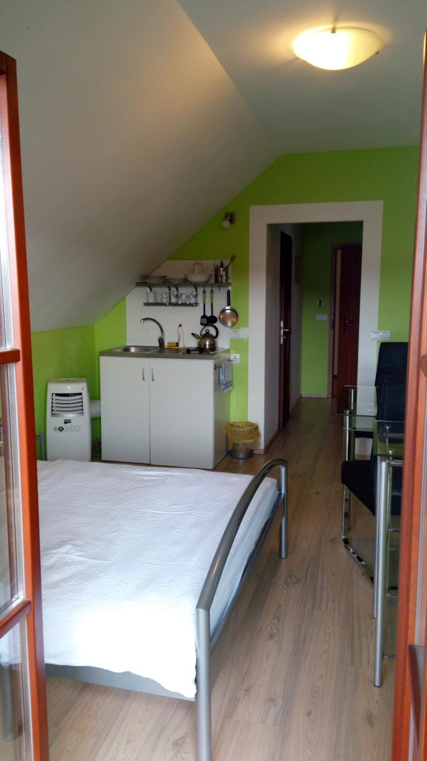 Apartments U Kašny Apartment in Czechia