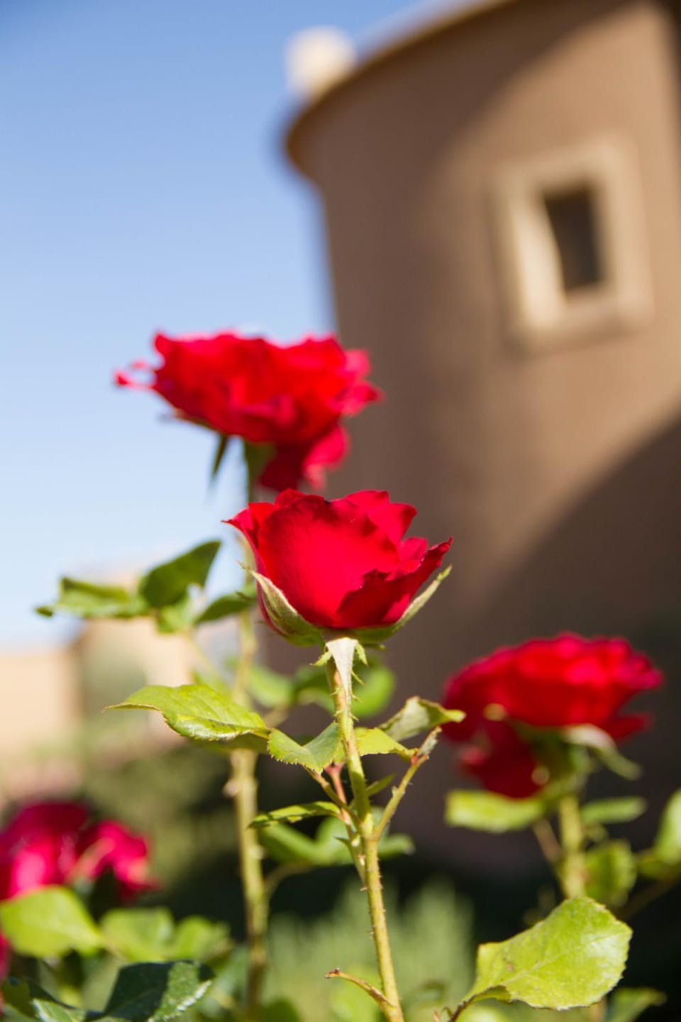 Skoura Lodge Bed and Breakfast in Souss-Massa