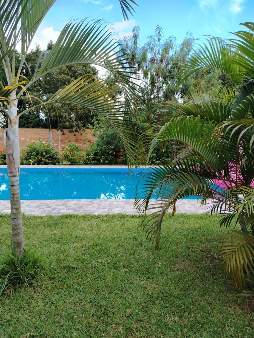 Comunidad NIKKEN Vacation rental in Tarapoto