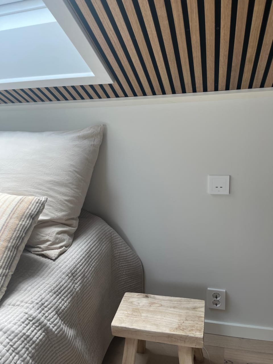 Stort lyst rom med adgang til kjøkken og bad Vacation rental in Viken, Norway