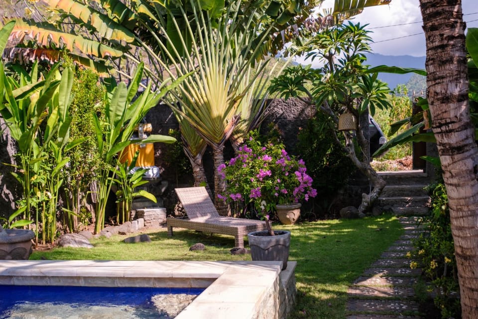 Facade/entrance, Garden, sunbed
