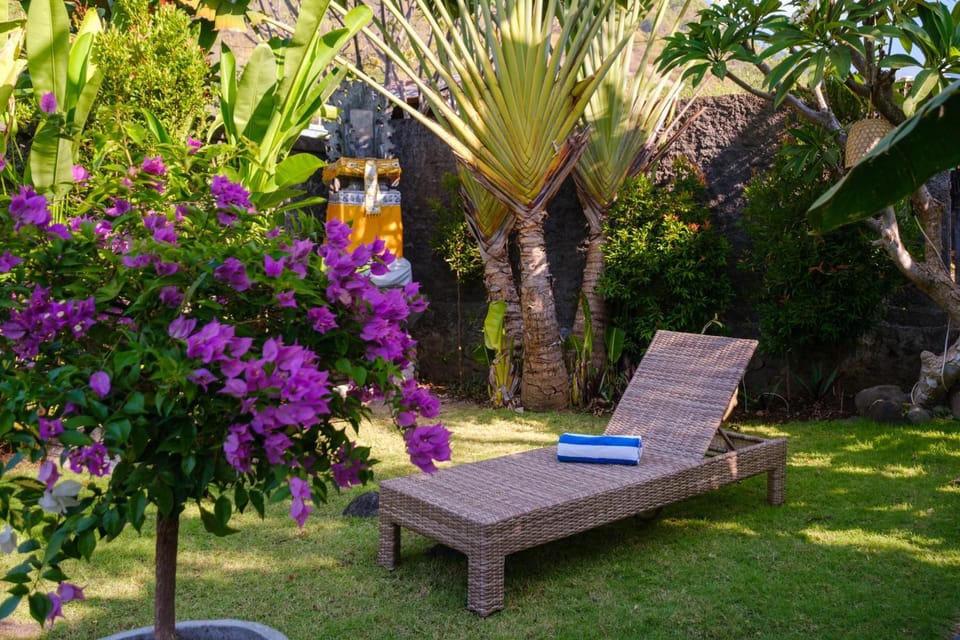 Garden, sunbed