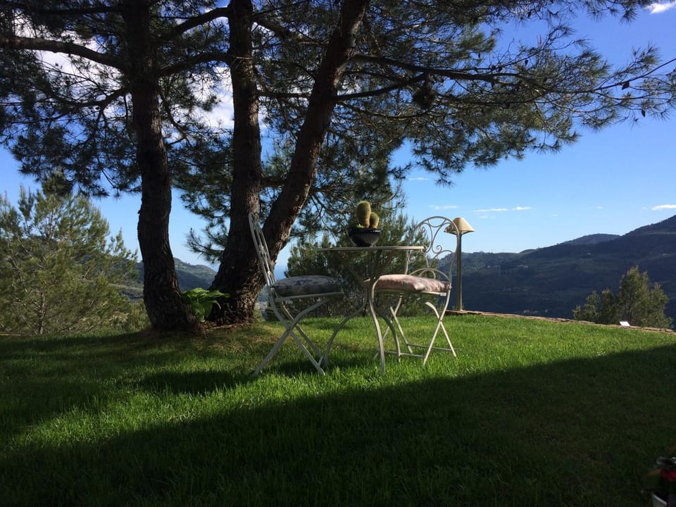 Garden view, Sea view