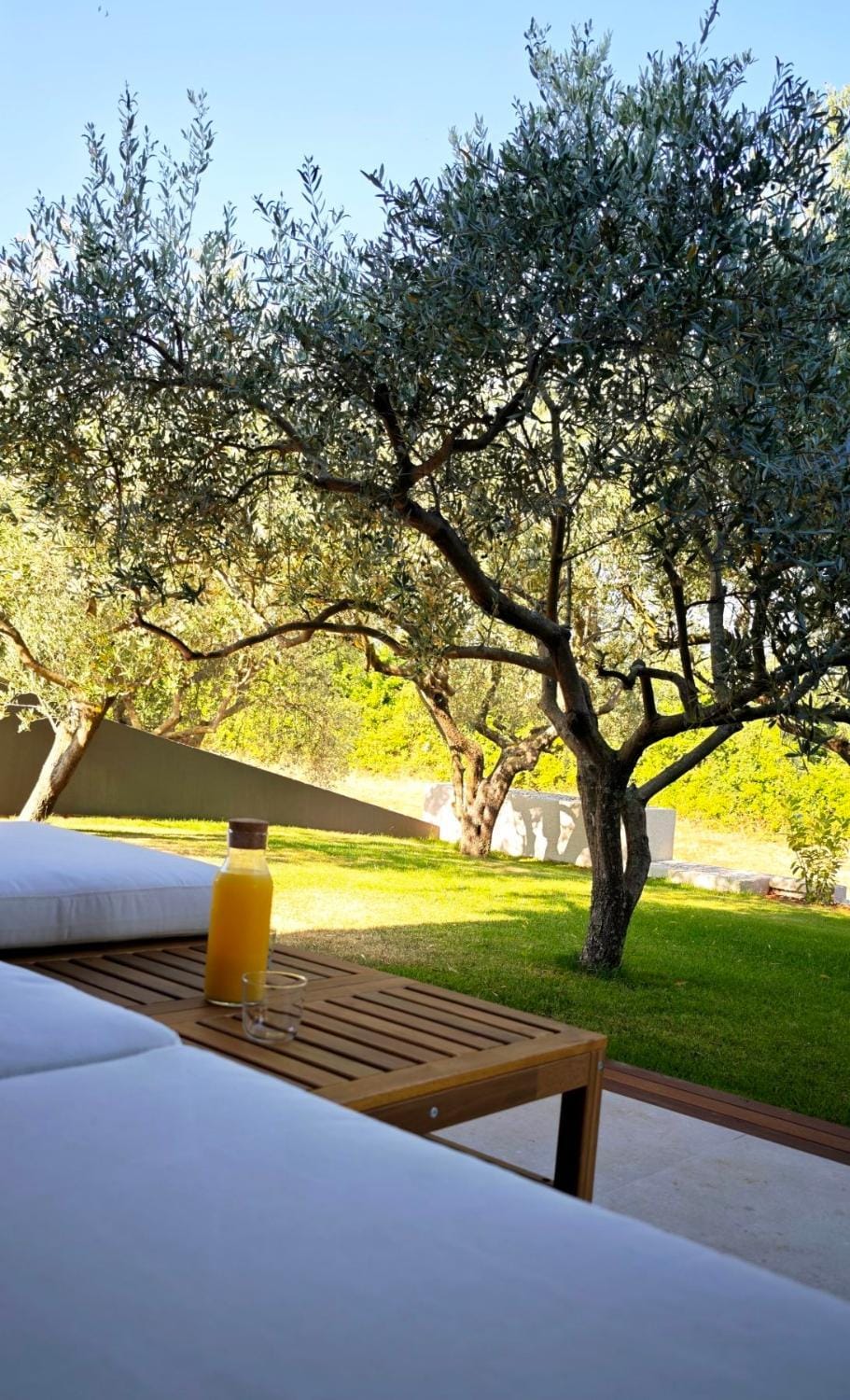 Vila Maslina Villa in Istria County