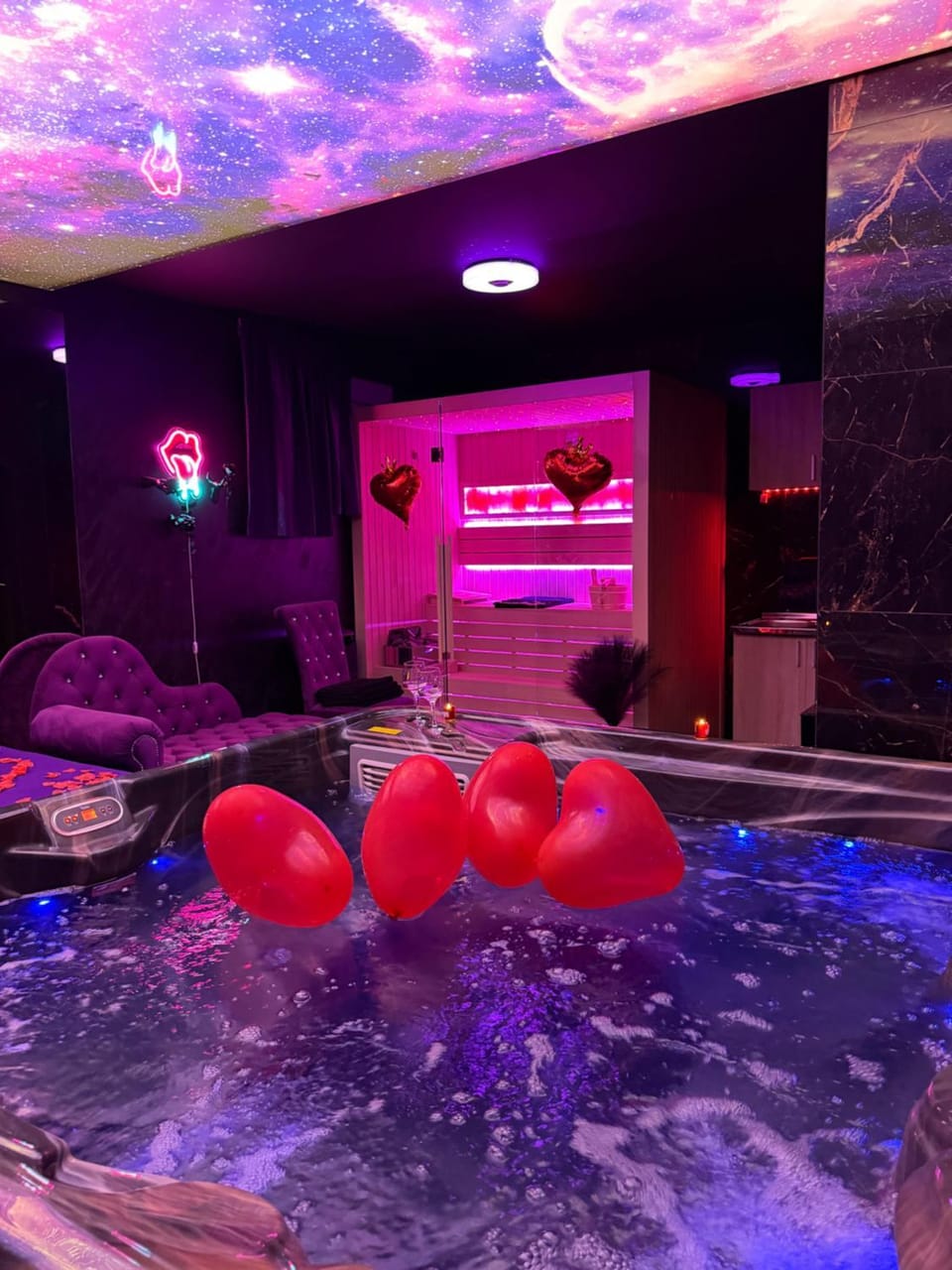 Flex Lux Spa Apartment Belgrade with Jacuzzi Sauna Apartment in Belgrade